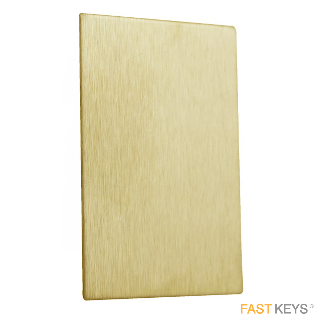 Repair plate escutcheon, jumbo, brass finish.